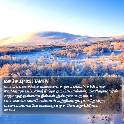 மத்தேயு 10:23 TAMIRV Bible Verse Image