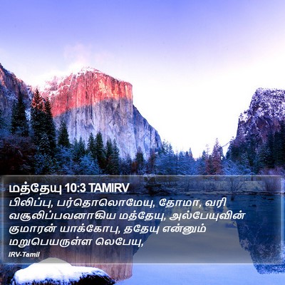 மத்தேயு 10:3 TAMIRV Bible Verse Image