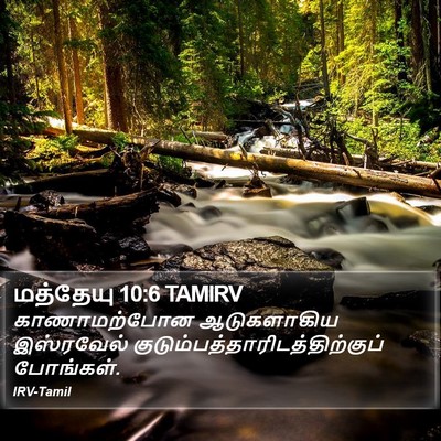 மத்தேயு 10:6 TAMIRV Bible Verse Image