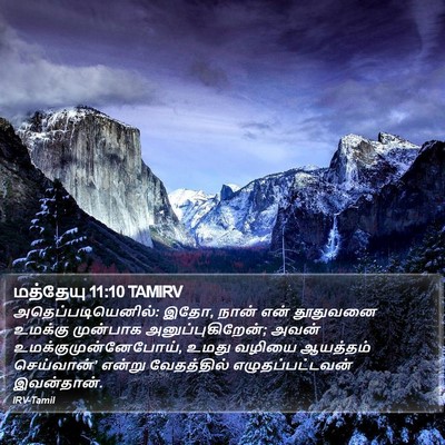 மத்தேயு 11:10 TAMIRV Bible Verse Image