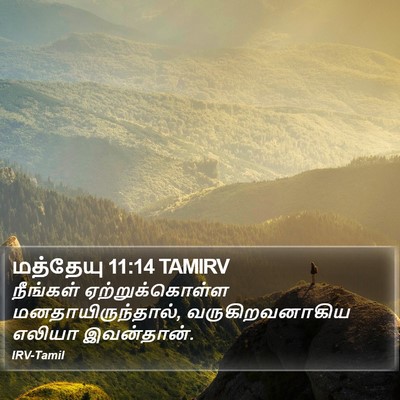 மத்தேயு 11:14 TAMIRV Bible Verse Image