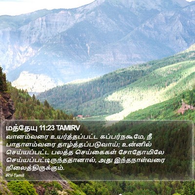 மத்தேயு 11:23 TAMIRV Bible Verse Image