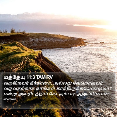 மத்தேயு 11:3 TAMIRV Bible Verse Image