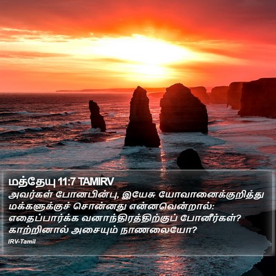 மத்தேயு 11:7 TAMIRV Bible Verse Image