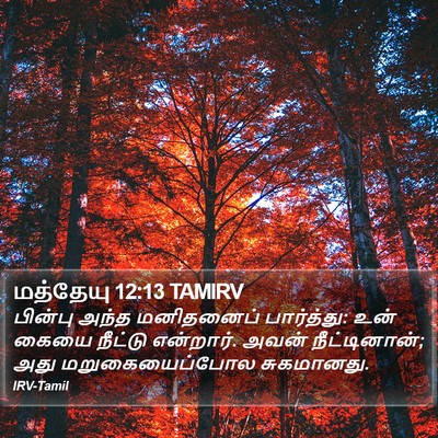 மத்தேயு 12:13 TAMIRV Bible Verse Image
