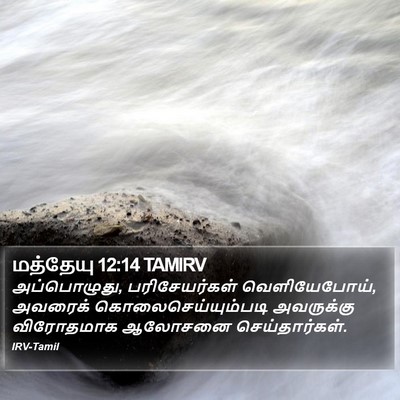 மத்தேயு 12:14 TAMIRV Bible Verse Image