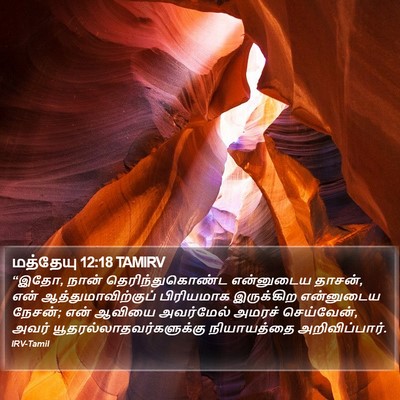 மத்தேயு 12:18 TAMIRV Bible Verse Image