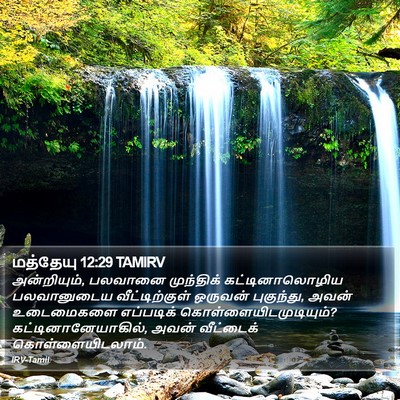 மத்தேயு 12:29 TAMIRV Bible Verse Image