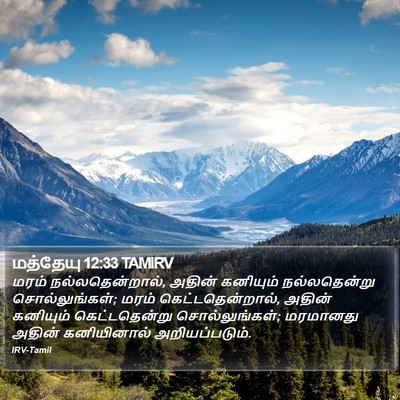 மத்தேயு 12:33 TAMIRV Bible Verse Image