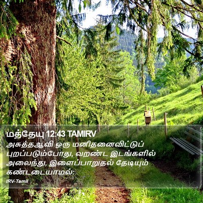 மத்தேயு 12:43 TAMIRV Bible Verse Image