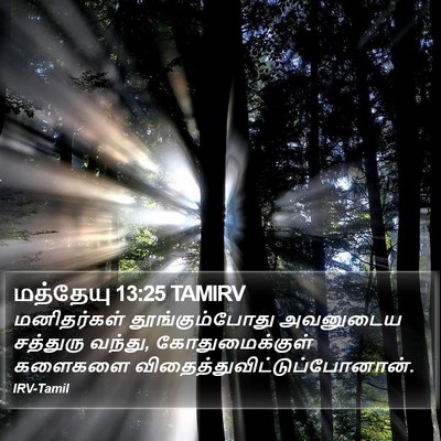 மத்தேயு 13:25 TAMIRV Bible Verse Image