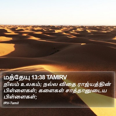 மத்தேயு 13:38 TAMIRV Bible Verse Image