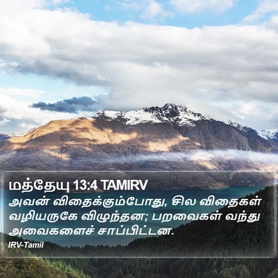 மத்தேயு 13:4 TAMIRV Bible Verse Image
