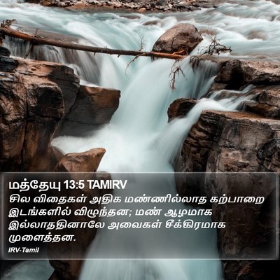 மத்தேயு 13:5 TAMIRV Bible Verse Image