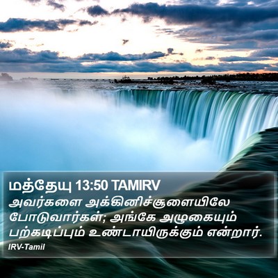 மத்தேயு 13:50 TAMIRV Bible Verse Image