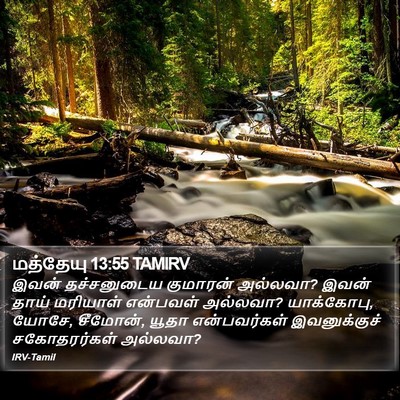 மத்தேயு 13:55 TAMIRV Bible Verse Image