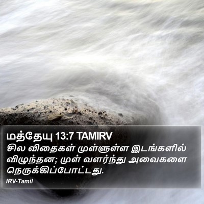 மத்தேயு 13:7 TAMIRV Bible Verse Image