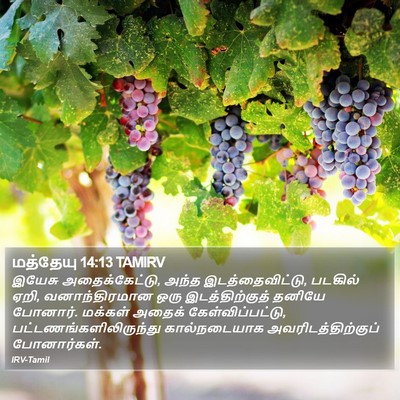 மத்தேயு 14:13 TAMIRV Bible Verse Image