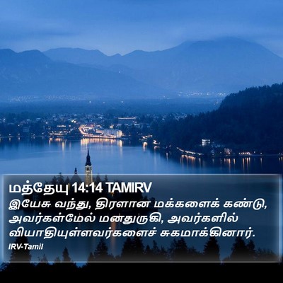 மத்தேயு 14:14 TAMIRV Bible Verse Image