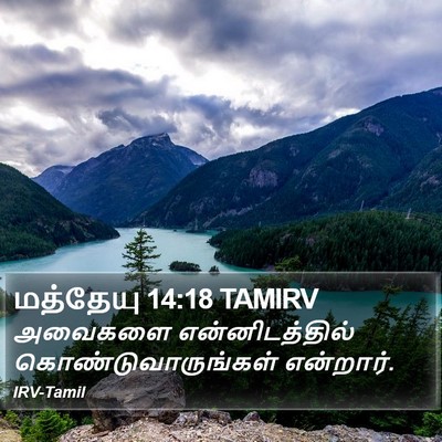 மத்தேயு 14:18 TAMIRV Bible Verse Image