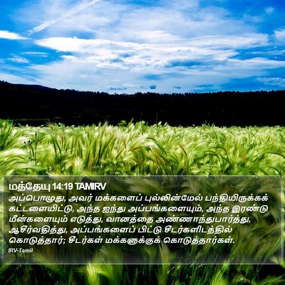 மத்தேயு 14:19 TAMIRV Bible Verse Image