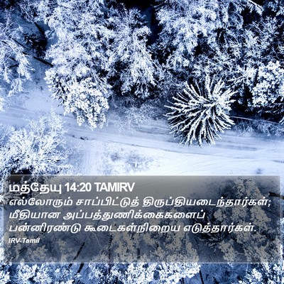 மத்தேயு 14:20 TAMIRV Bible Verse Image