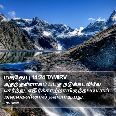 மத்தேயு 14:24 TAMIRV Bible Verse Image