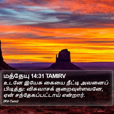 மத்தேயு 14:31 TAMIRV Bible Verse Image