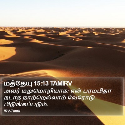 மத்தேயு 15:13 TAMIRV Bible Verse Image