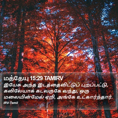 மத்தேயு 15:29 TAMIRV Bible Verse Image