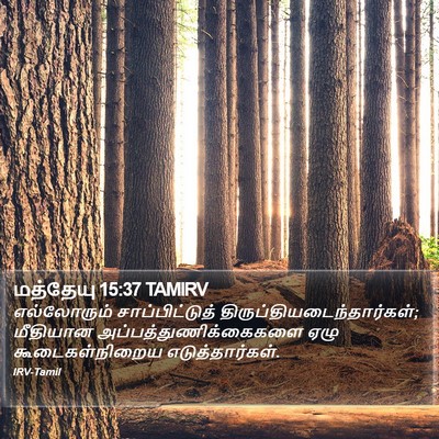 மத்தேயு 15:37 TAMIRV Bible Verse Image