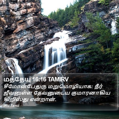 மத்தேயு 16:16 TAMIRV Bible Verse Image