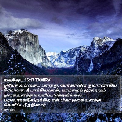 மத்தேயு 16:17 TAMIRV Bible Verse Image