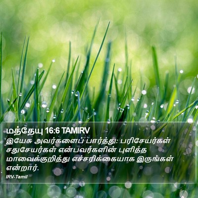 மத்தேயு 16:6 TAMIRV Bible Verse Image
