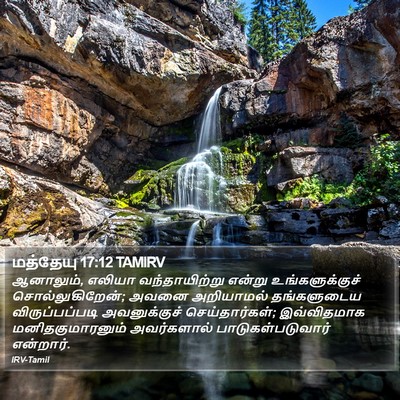 மத்தேயு 17:12 TAMIRV Bible Verse Image