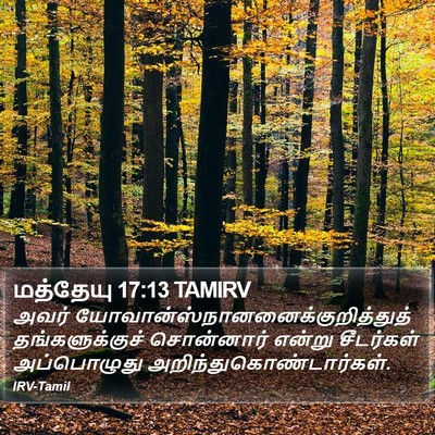 மத்தேயு 17:13 TAMIRV Bible Verse Image