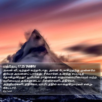 மத்தேயு 17:25 TAMIRV Bible Verse Image