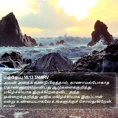 மத்தேயு 18:13 TAMIRV Bible Verse Image