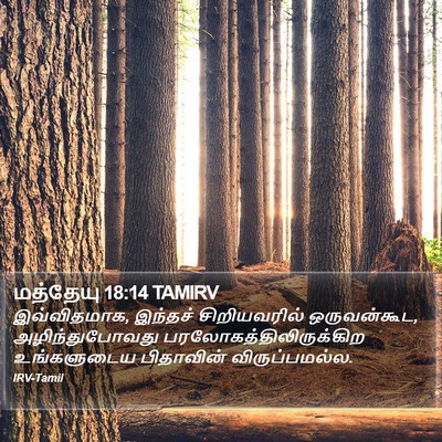 மத்தேயு 18:14 TAMIRV Bible Verse Image