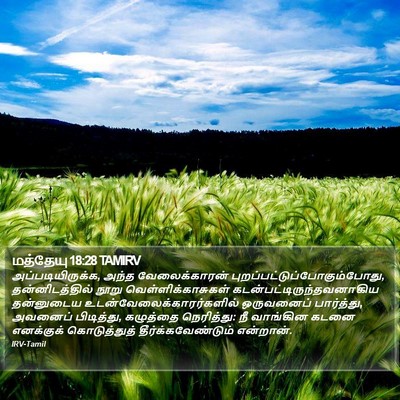 மத்தேயு 18:28 TAMIRV Bible Verse Image
