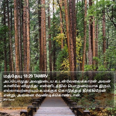மத்தேயு 18:29 TAMIRV Bible Verse Image