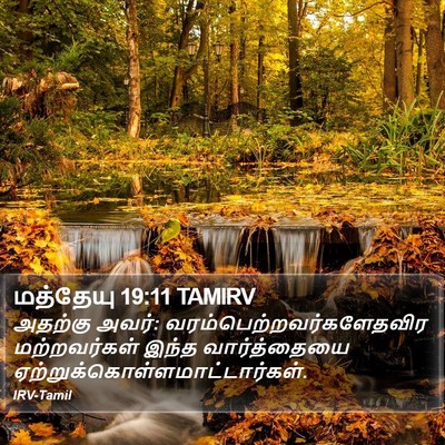 மத்தேயு 19:11 TAMIRV Bible Verse Image