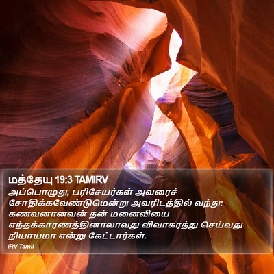 மத்தேயு 19:3 TAMIRV Bible Verse Image