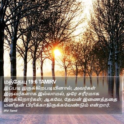 மத்தேயு 19:6 TAMIRV Bible Verse Image