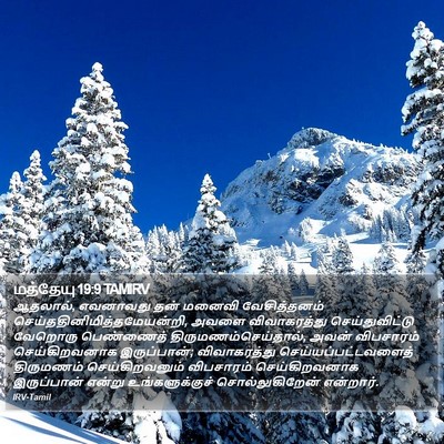 மத்தேயு 19:9 TAMIRV Bible Verse Image
