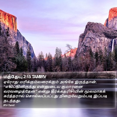 மத்தேயு 2:15 TAMIRV Bible Verse Image