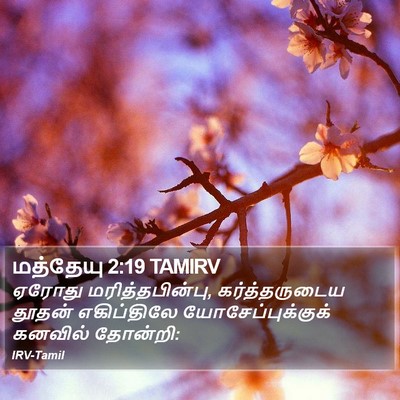 மத்தேயு 2:19 TAMIRV Bible Verse Image