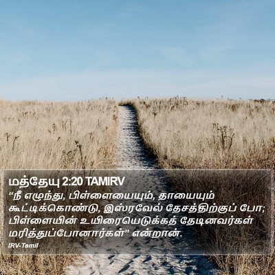 மத்தேயு 2:20 TAMIRV Bible Verse Image