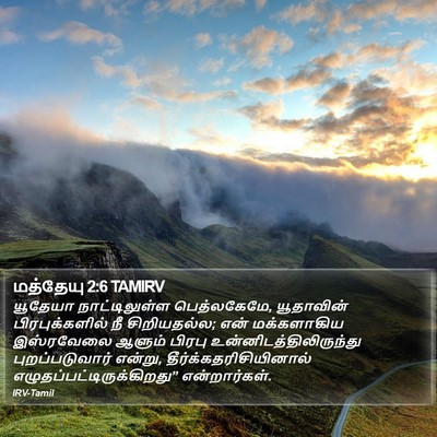 மத்தேயு 2:6 TAMIRV Bible Verse Image