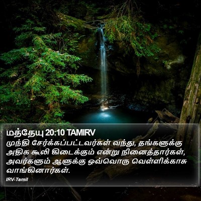 மத்தேயு 20:10 TAMIRV Bible Verse Image